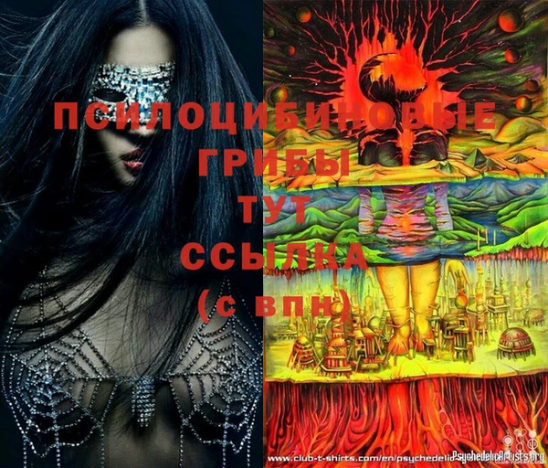 ECSTASY Тайга