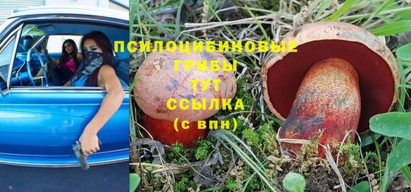 PSILOCYBIN Тихорецк