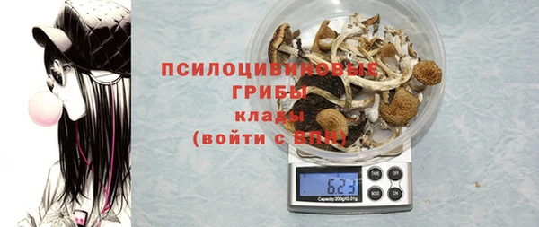 PSILOCYBIN Тихорецк