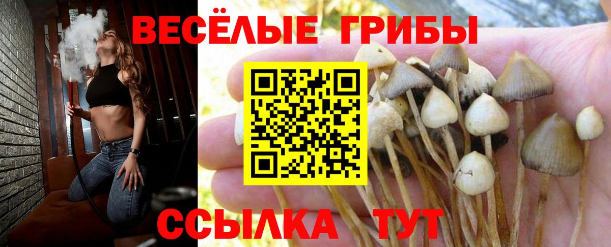 Псилоцибиновые грибы мухоморы  Вход с VPN  Псилоцибиновые грибы Magic Shrooms  купить наркотики сайты  Белая Калитва 